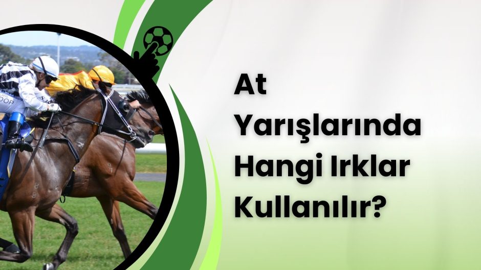 At Yarışlarında Hangi Irklar Kullanılır